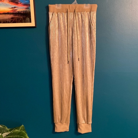 ⭐️ Know. One. Cares Gold Jogger Pants - Picture 2 of 11